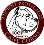 iccf logo.jpg